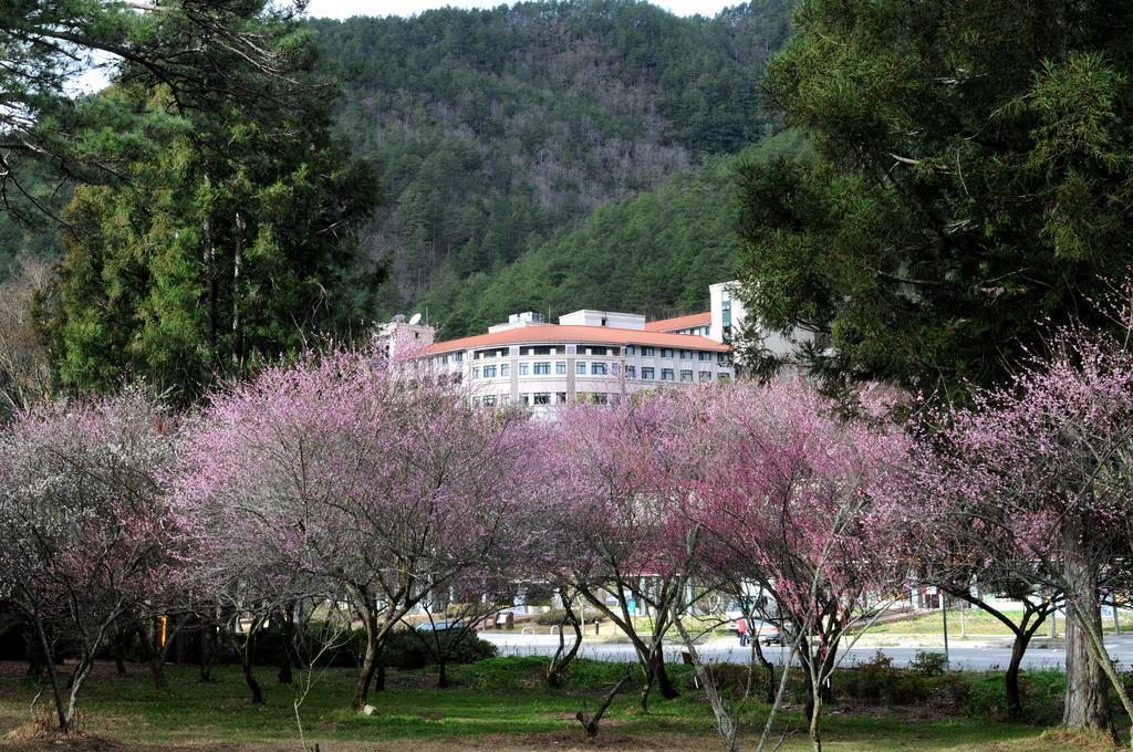 Hoya Resort, Wuling Heping  Exterior photo